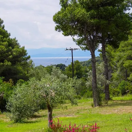Forest Skiathos