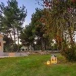 Forest Skiathos