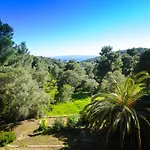 Forest Skiathos * Troulos