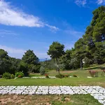 Forest Skiathos Troulos
