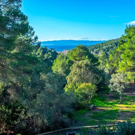 Forest Skiathos Apartmán