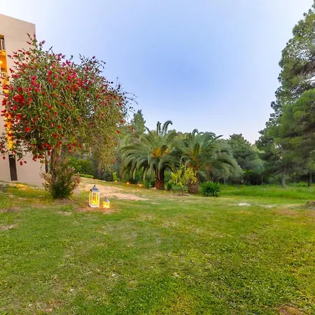 Forest Skiathos Apartmán *