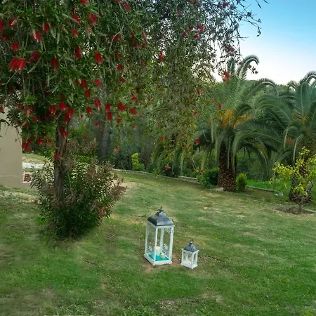 Apartment Forest Skiathos Troulos