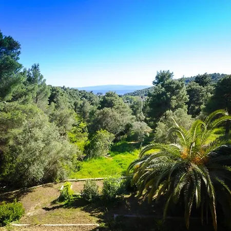 Forest Skiathos * Troulos