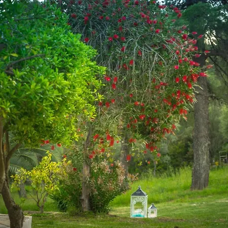 Apartment Forest Skiathos *