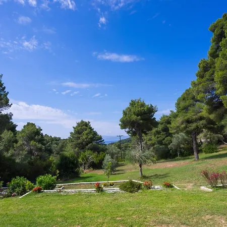 Forest Skiathos *