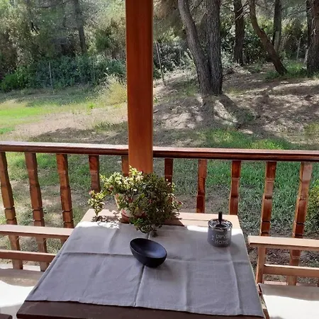Forest Skiathos Apartment Troulos