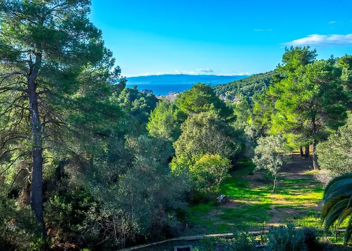 Forest Skiathos Apartment