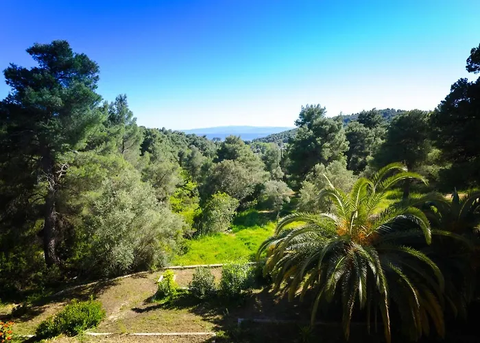 Forest Skiathos * Troulos