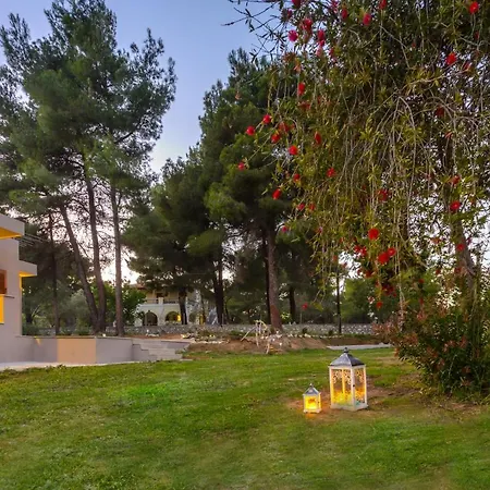 Forest Skiathos